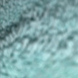 Meet your Posher, Scarlett